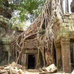 temple cambodge