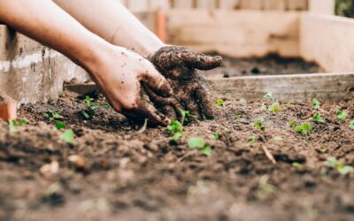 Entretenir un jardin