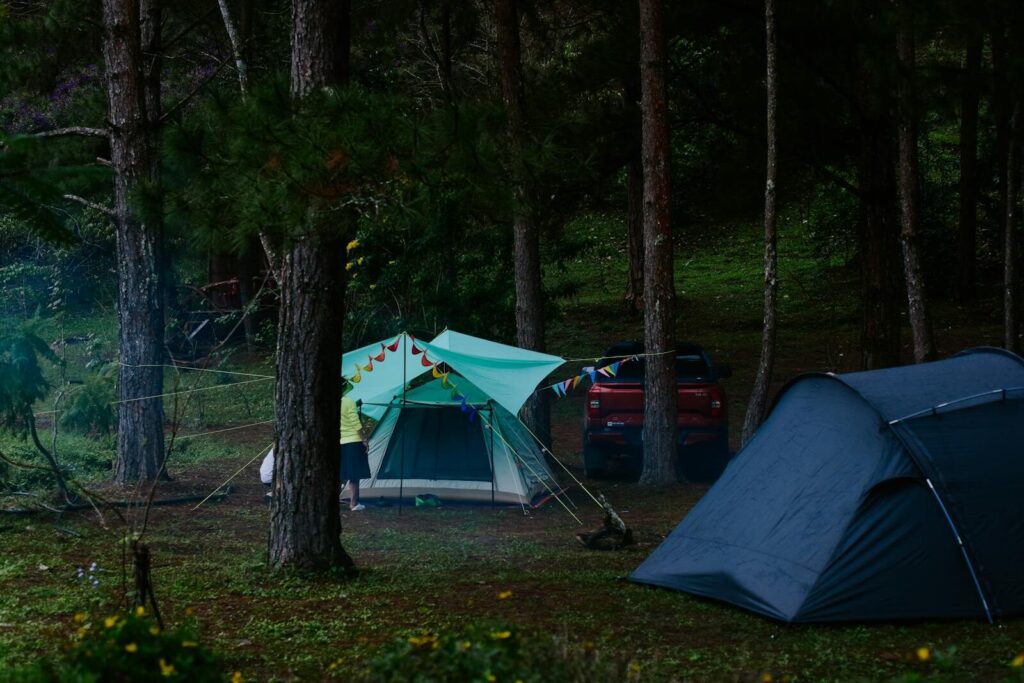 camping nature
