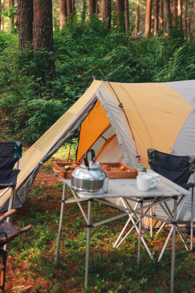 camping nature
