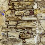 Surface craquelée avec des pierres et du plâtre partiellement effrités, taches bleues éparpillées