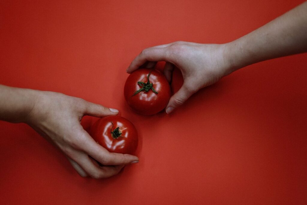 Mains tenant des tomates sur fond orangé
