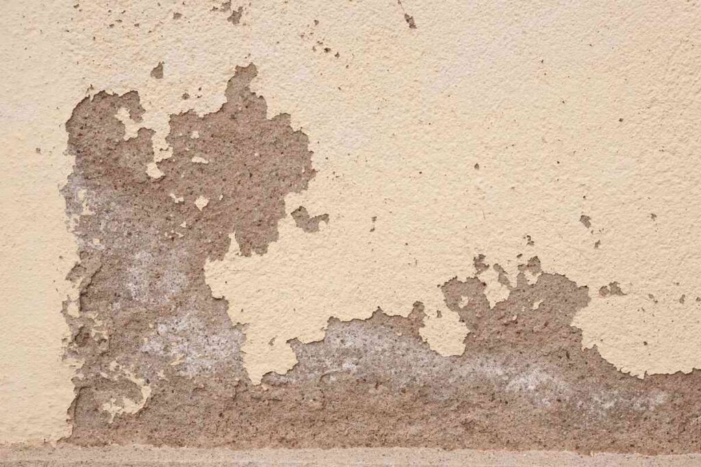 Enduit qui s'écaille sur un mur beige révélant la couche grise