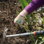 Une main gantée creuse la terre avec un petit outil
