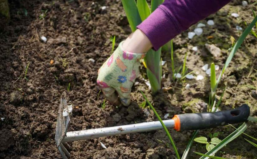 Une main gantée creuse la terre avec un petit outil